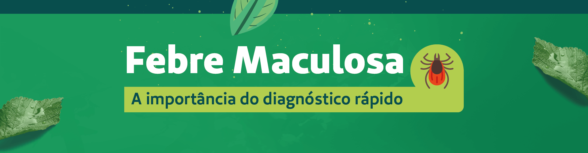Casos recentes de febre maculosa alertam para a importância do diagnóstico rápido