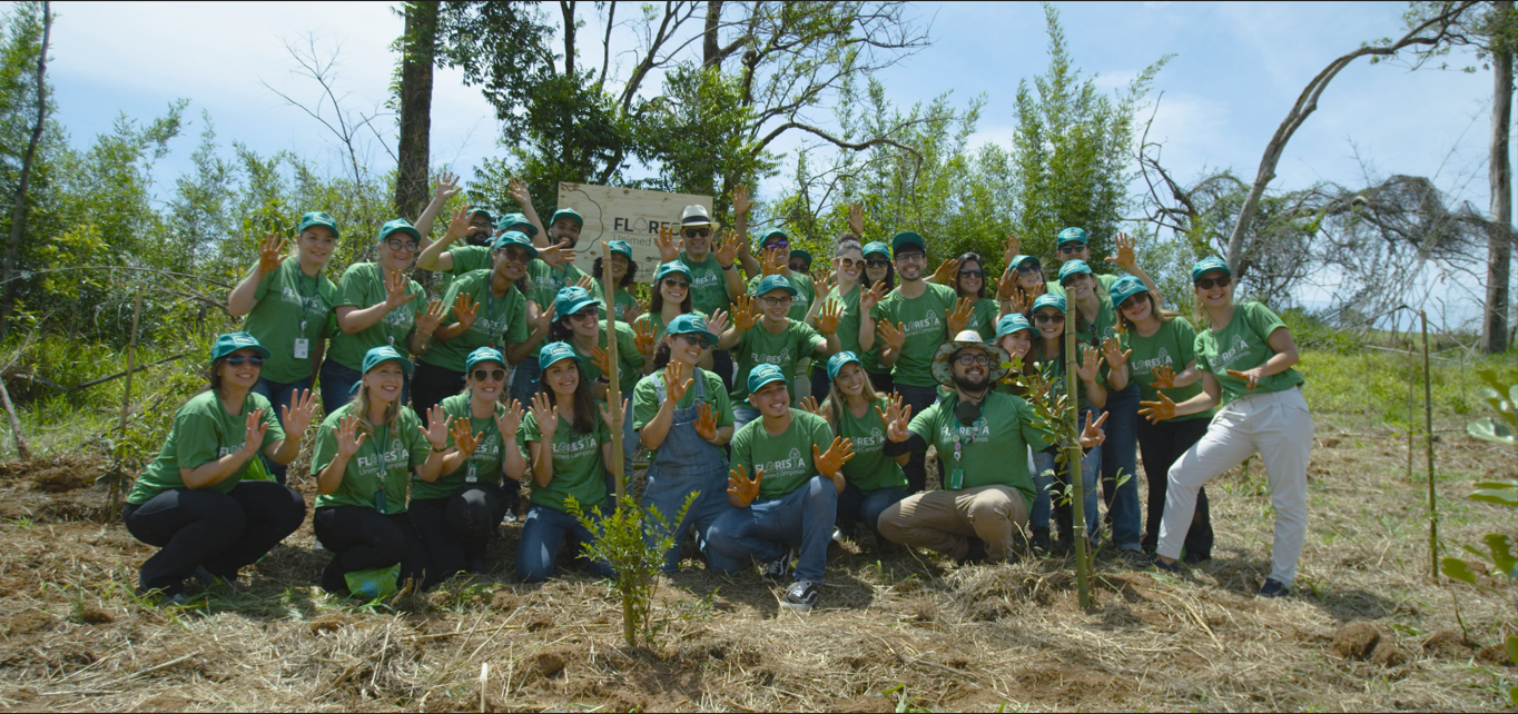 Empresas sustentáveis: exemplos e como se tornar uma!