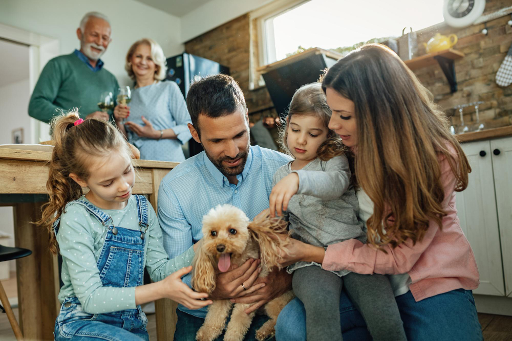 Animal de Estimação: Quais os Benefícios de Ter Um Bichinho Na Família?